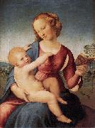 RAFFAELLO Sanzio Colonna Madonna oil on canvas